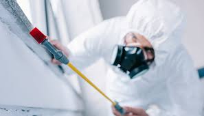 Best Residential Pest Control  in Buffalo, NY